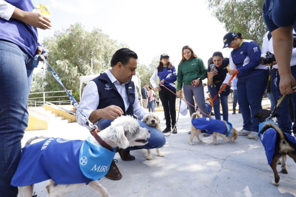 Nava pide tenencia responsable de mascotas