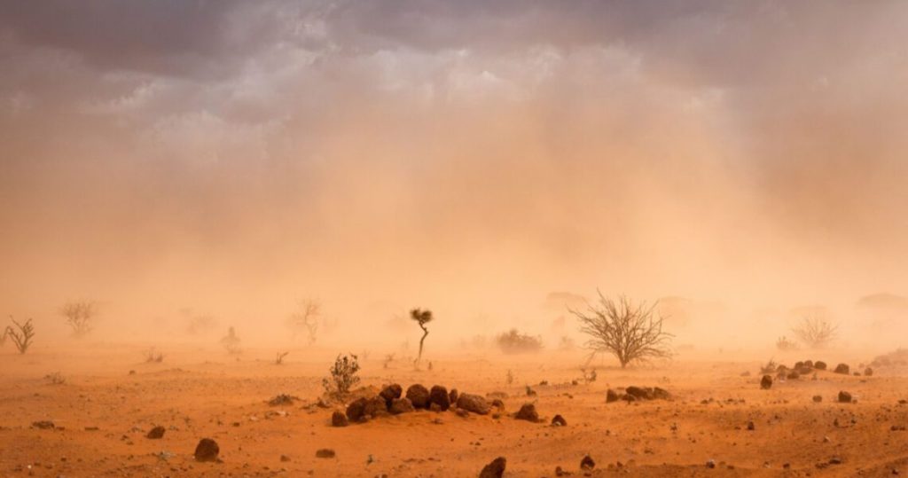 Calor continuará en julio y agosto: ONU