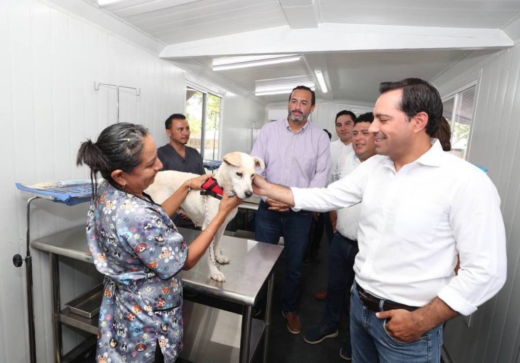 Peek’ Friendly, proyecto para registro de mascotas en Yucatán