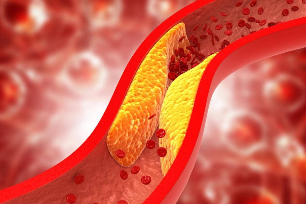 Colesterol HDL y fertilidad: ¡Un giro revolucionario!