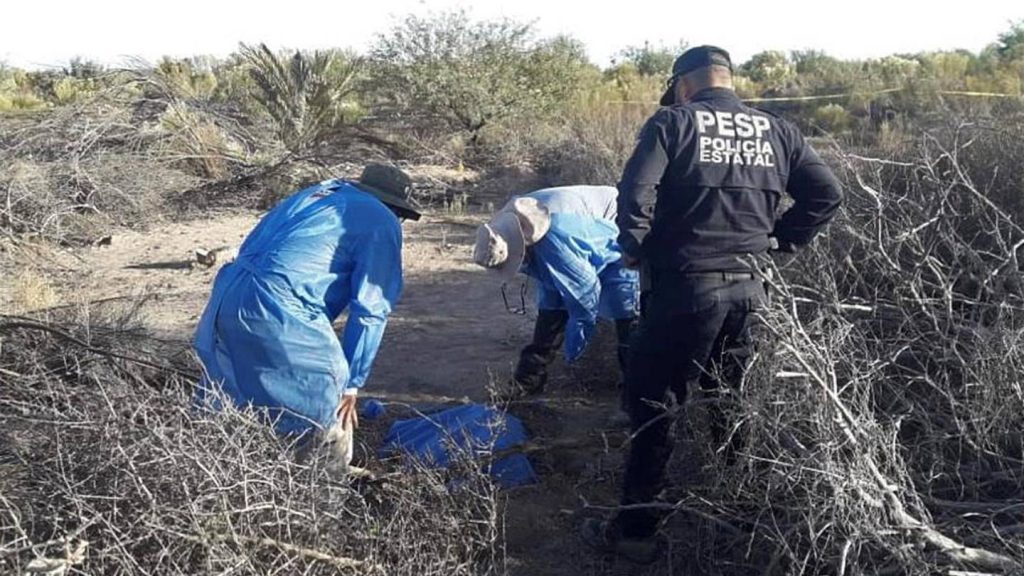 Fosa clandestina en Sonoyta: Horror revelado
