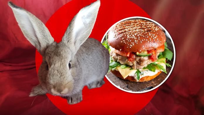 Hamburguesas de conejo