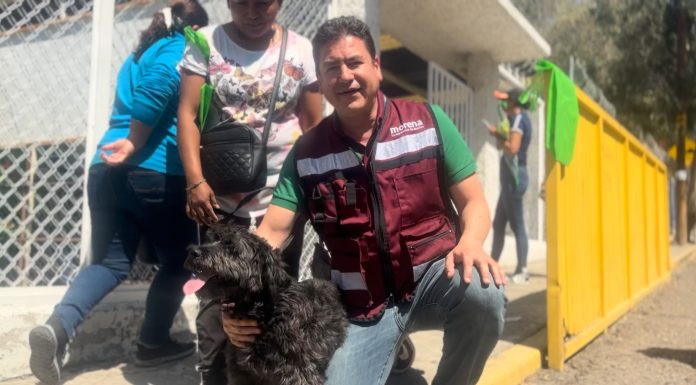 Mascotas