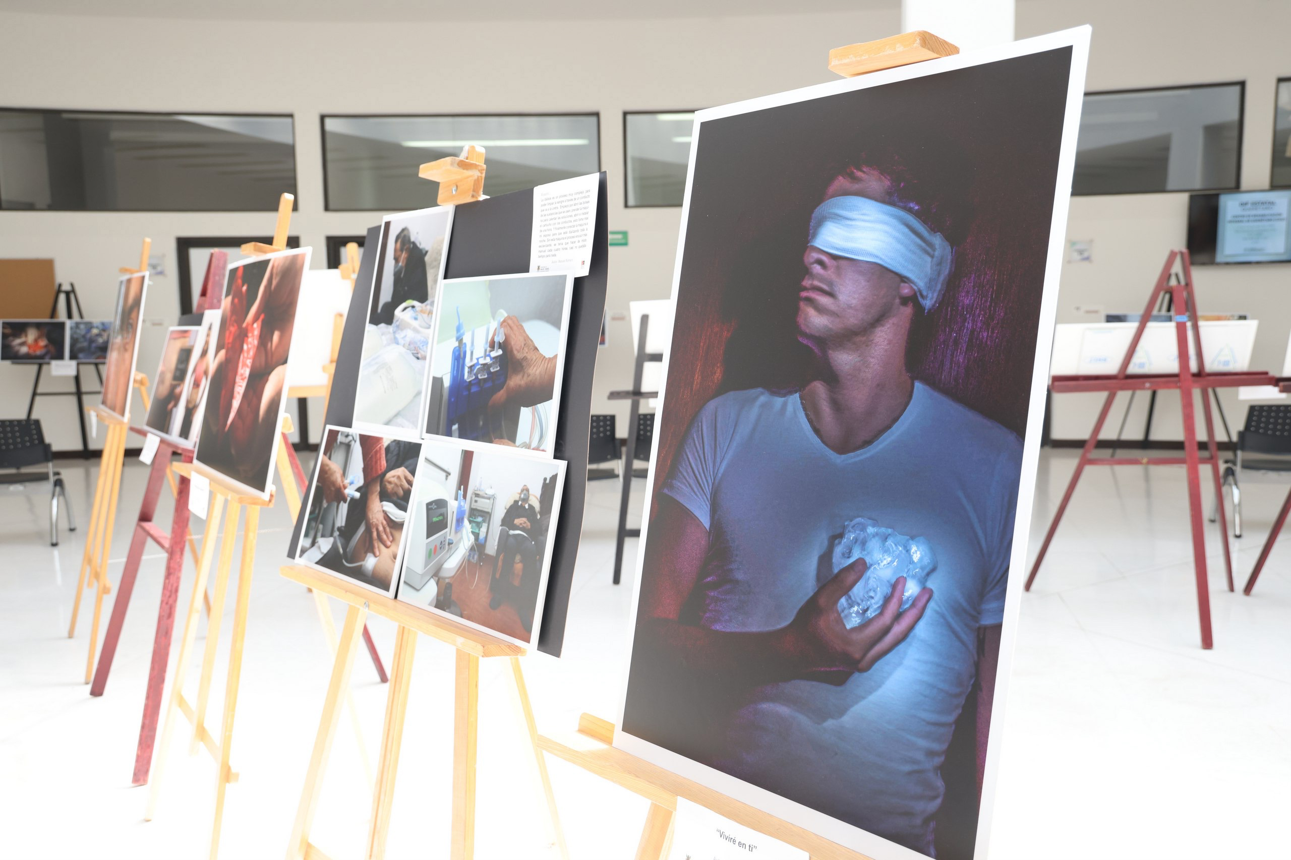 CreArte, la exposición sobre cultura de donación de órganos