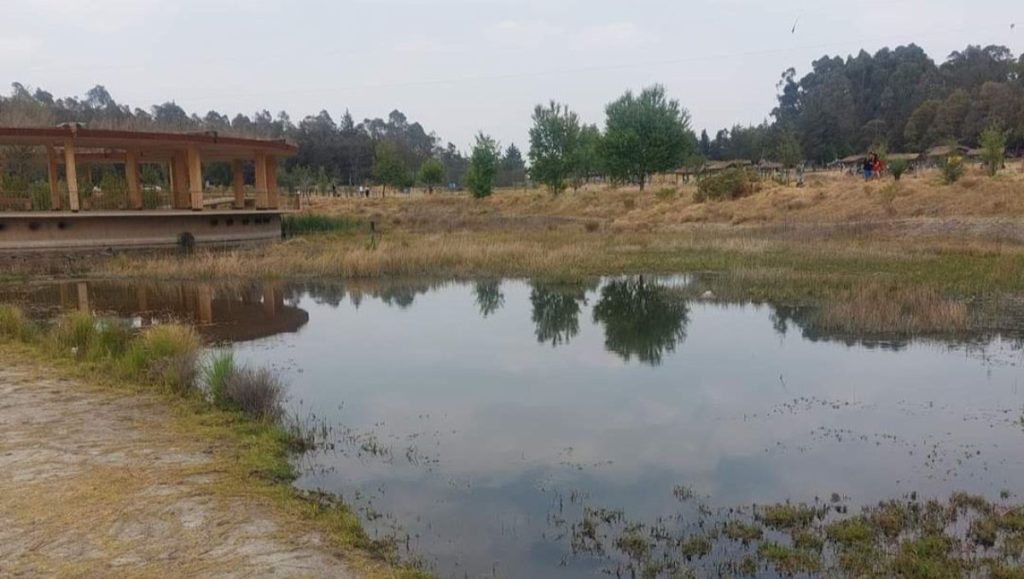 Limpieza urgente: Salvando la laguna de sierra Morelos
