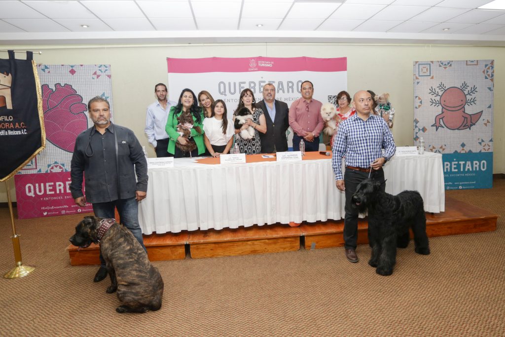 Expo Canina Internacional regresa a Querétaro