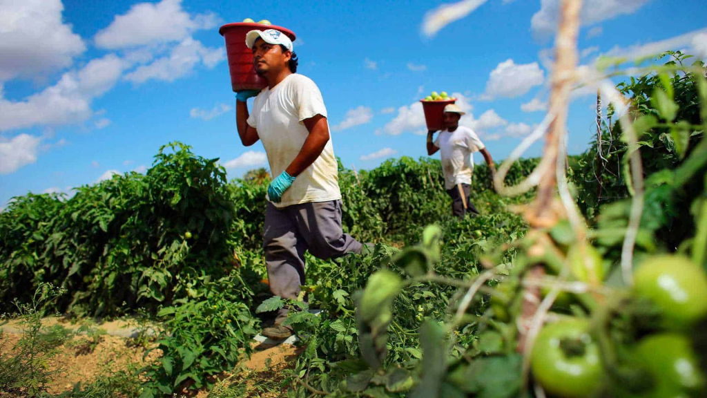 Actividad económica de México crece 1.1% en diciembre de 2024