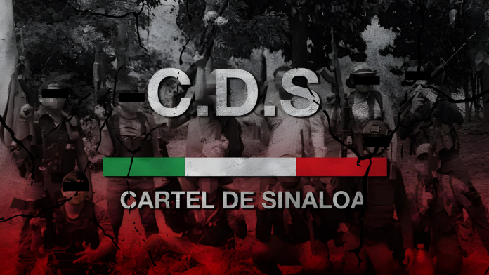 Cártel de Sinaloa