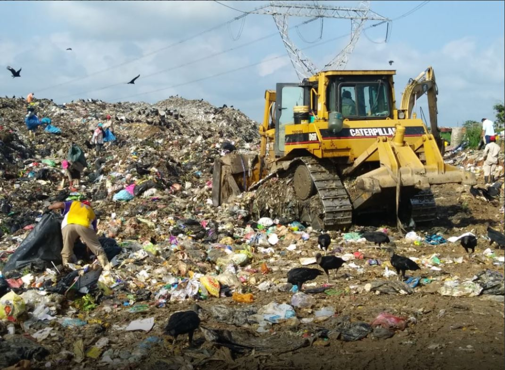 Veracruz al borde del colapso ambiental por abandono del gobierno