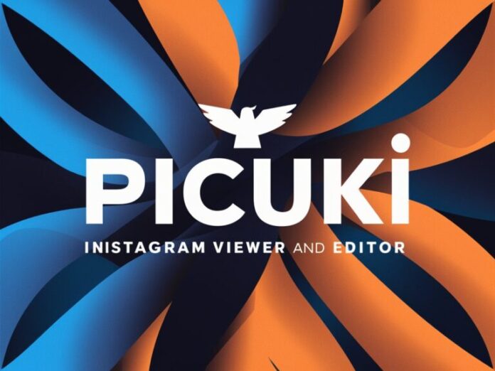 Qué es Picuki
