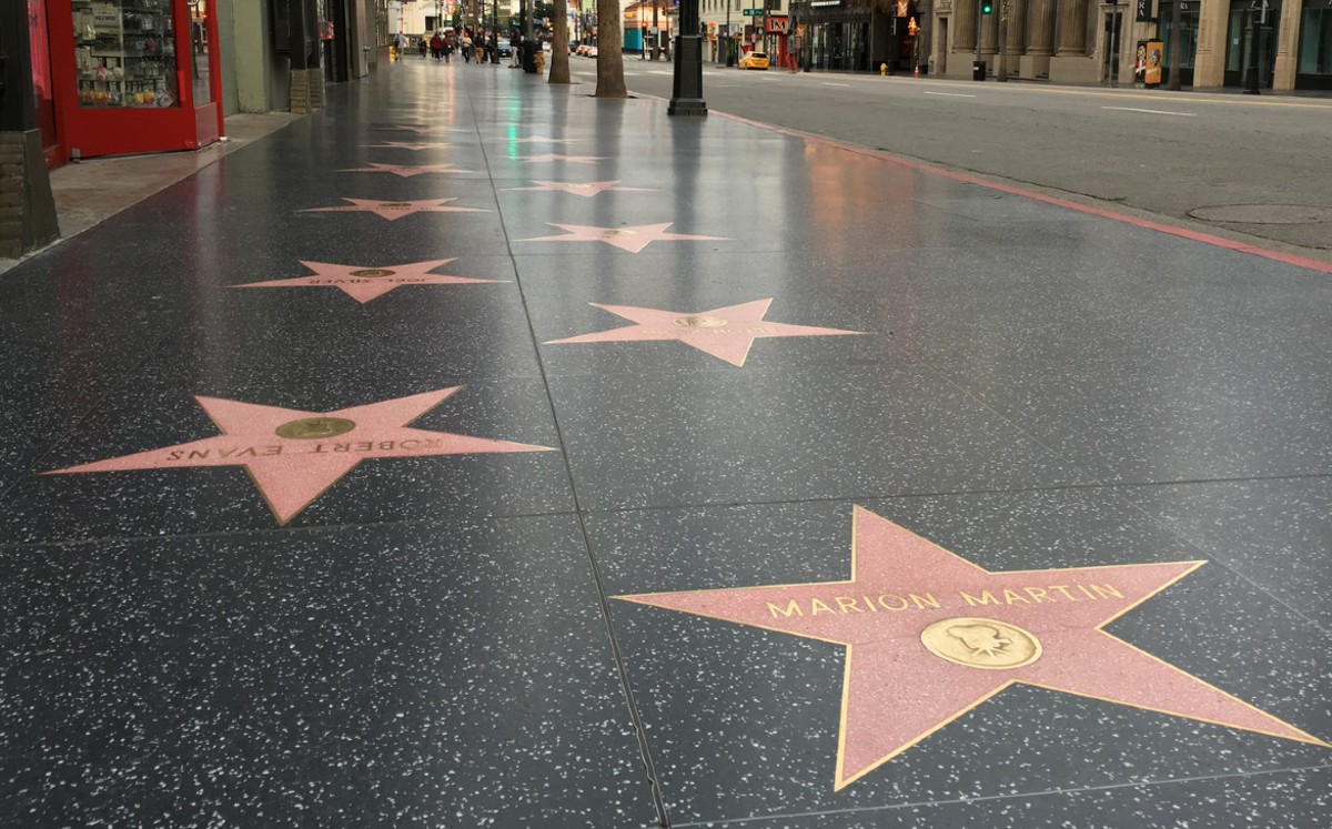 Crystal, el mono que es una estrella en Hollywood y ha trabajado en más de 30 series y películas