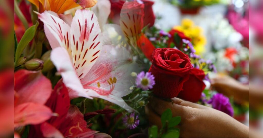 ¿Qué flores regalar el 14 de febrero? Guía de rosas y significados