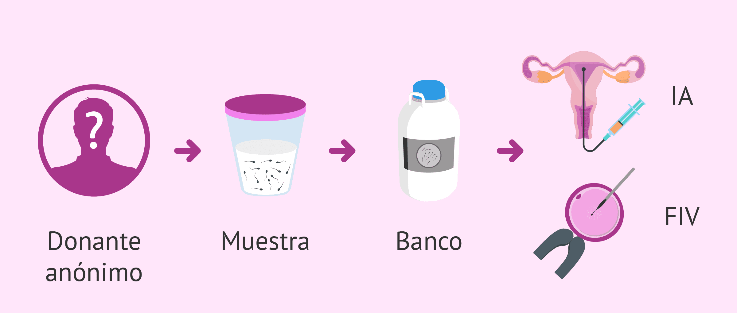 Donar esperma en México 