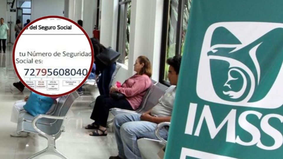 Número de Seguridad Social (NSS)- Cómo sacarlo o consultarlo por internet paso a paso