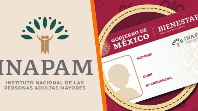 Persona adulta mayor mostrando su credencial INAPAM, símbolo de acceso a descuentos y beneficios en México.