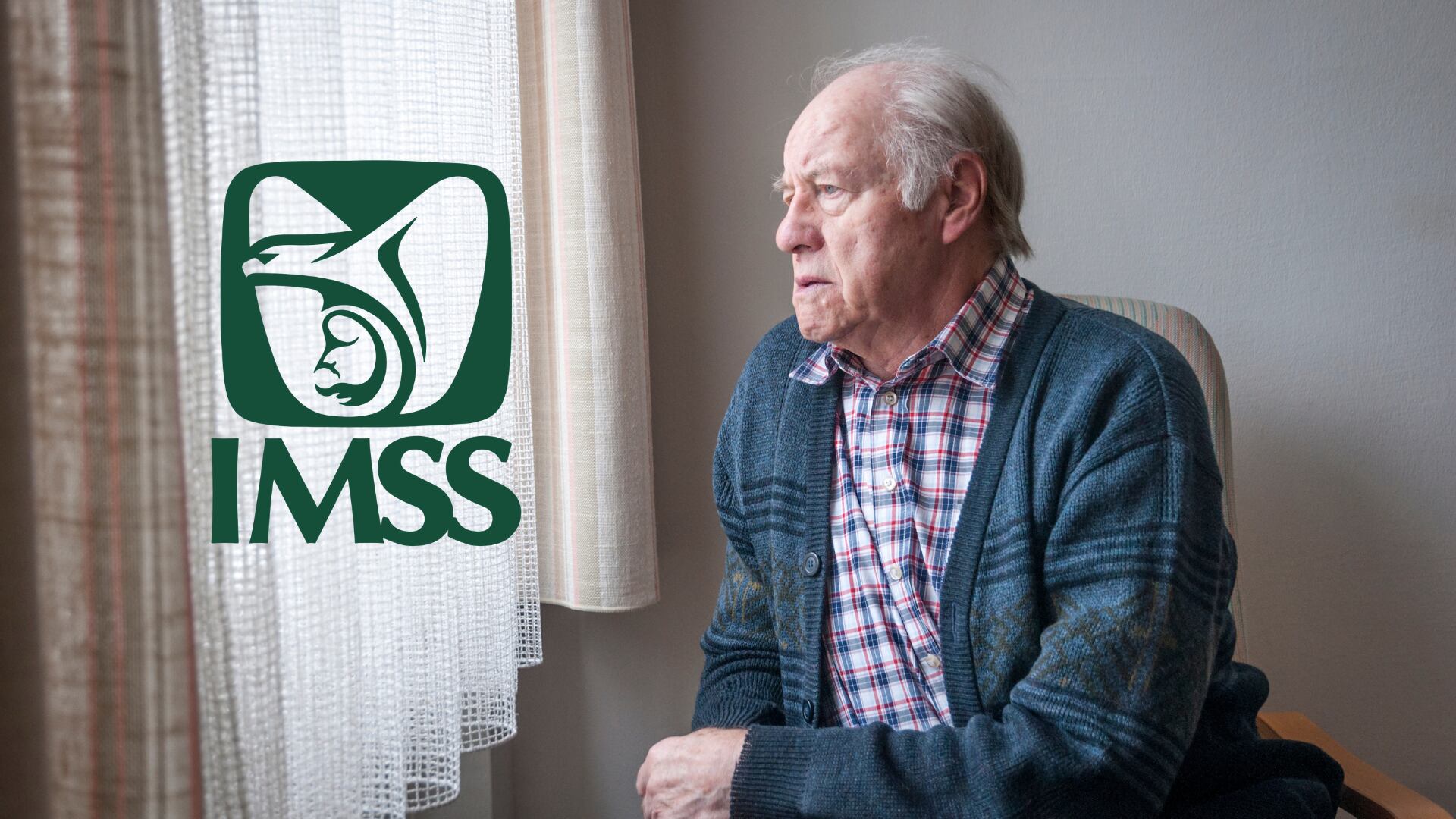 Registra a tus papás en el IMSS para servicio médico gratis 1