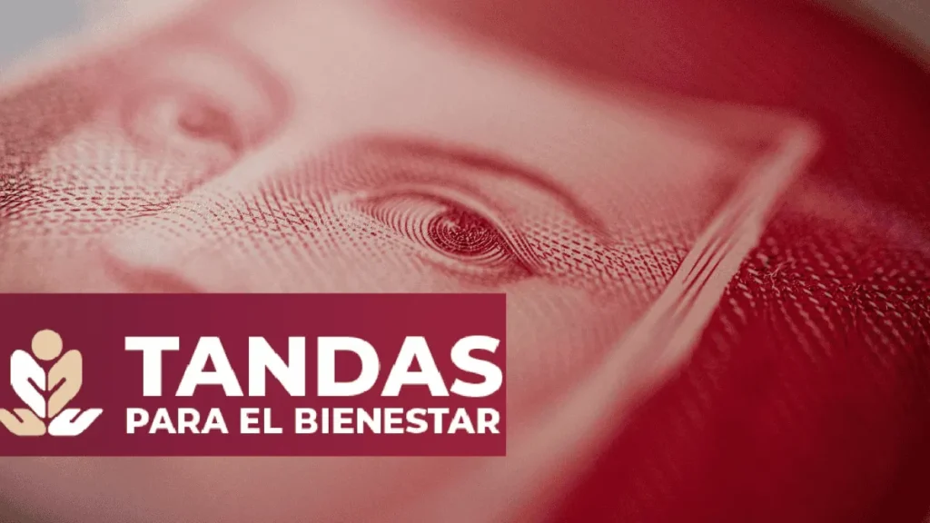 Tandas para el Bienestar (Créditos a la palabra): Cómo registrar tu negocio