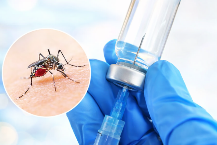 vacuna contra el dengue