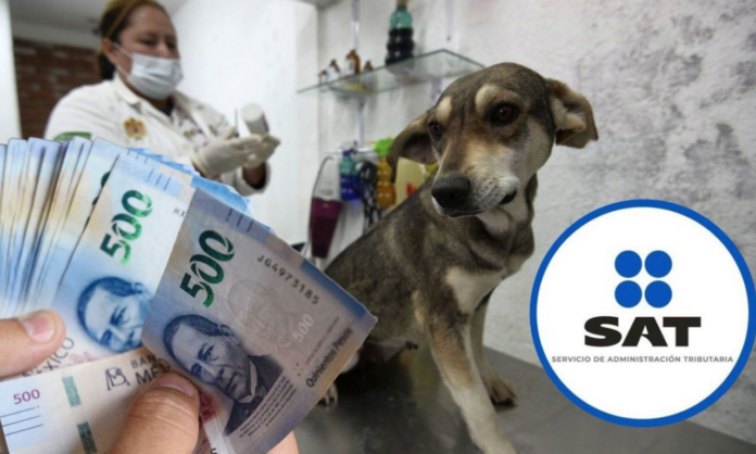 gastos de mascotas no deducibles
