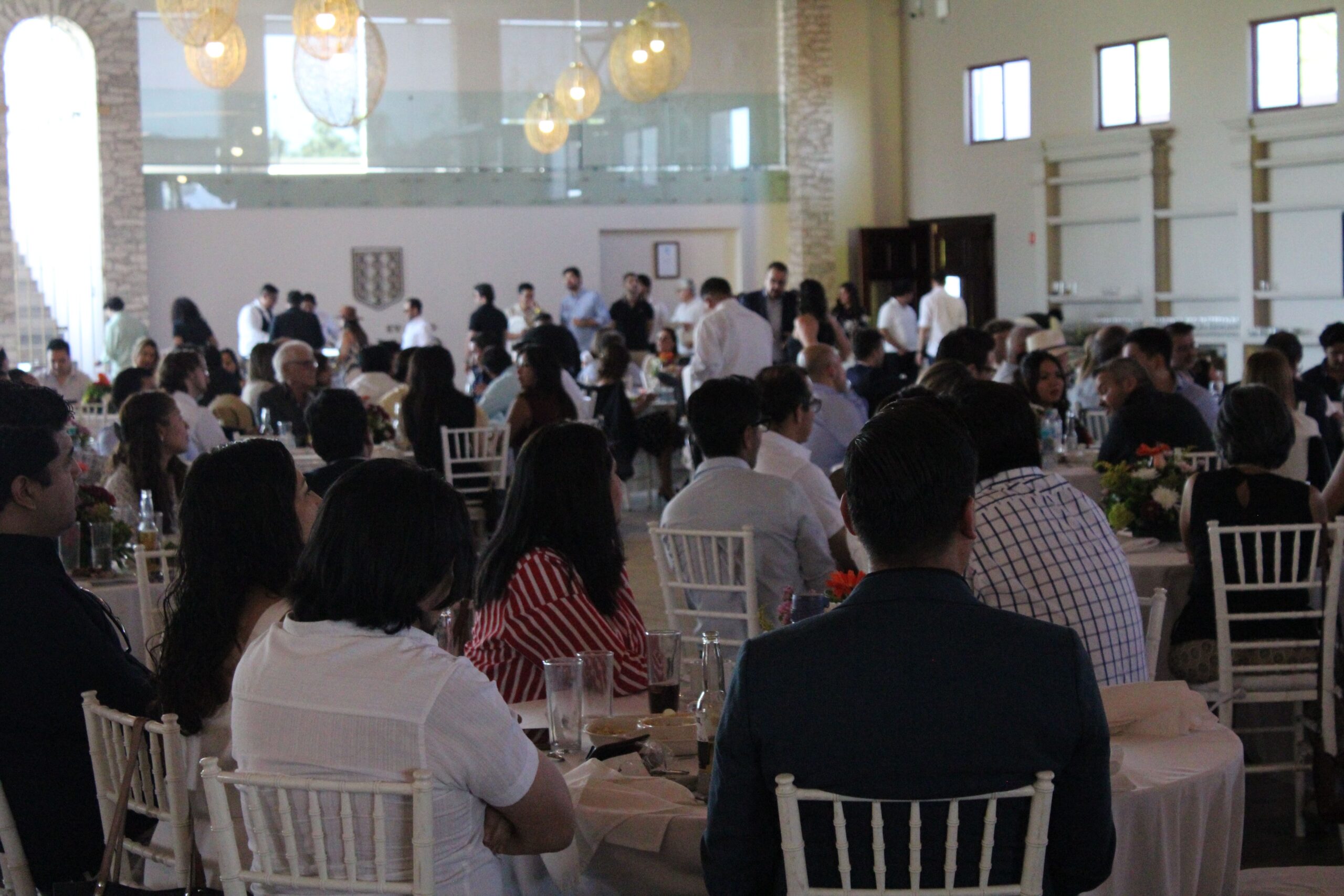 combina negocios y cultura en Viñedos Donato