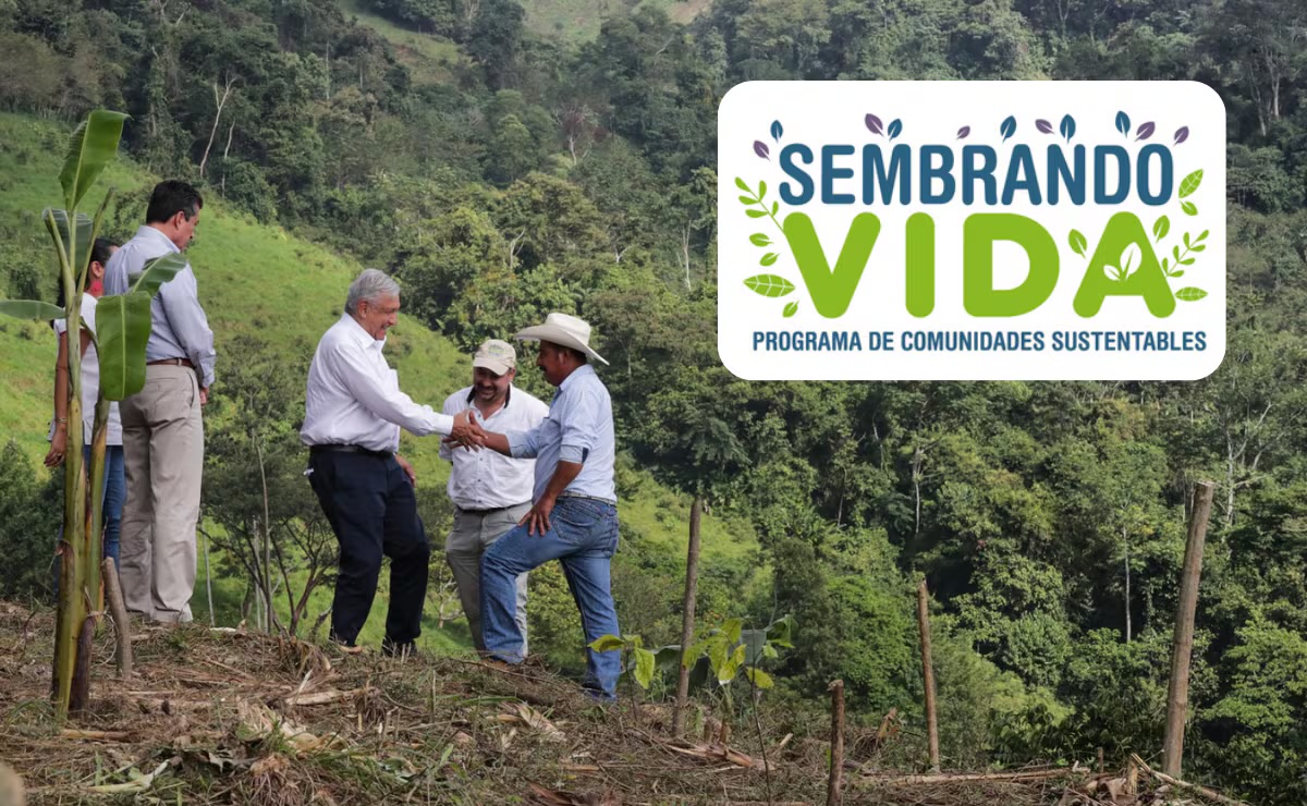 Programa Sembrando Vida