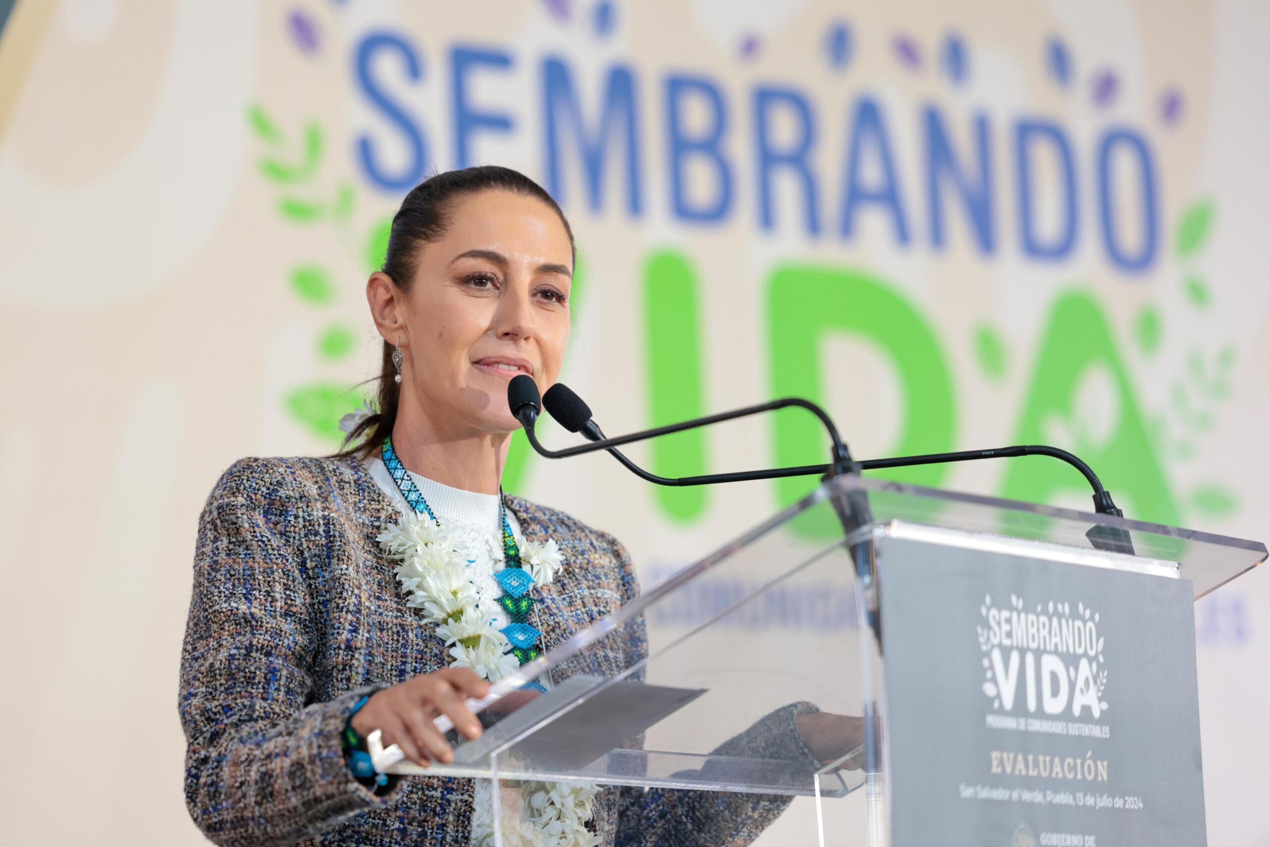 Programa Sembrando Vida