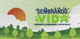Programa Sembrando Vida 2026: requisitos y monto actualizado Programa Sembrando Vida