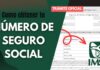 Número de Seguridad Social (NSS): cómo sacarlo o consultarlo por internet en 2026 NSS perdido: cómo recuperar tu número de seguro social