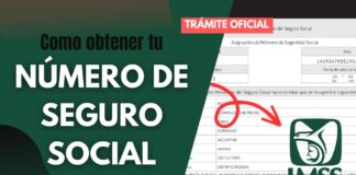 Número de Seguridad Social (NSS): cómo sacarlo o consultarlo por internet en 2026 NSS perdido: cómo recuperar tu número de seguro social