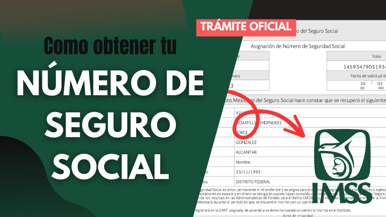 NSS perdido: cómo recuperar tu número de seguro social