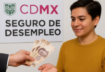 Seguro de desempleo 2026 pagos por estado cambian y pocos logran acceder seguro de desempleo