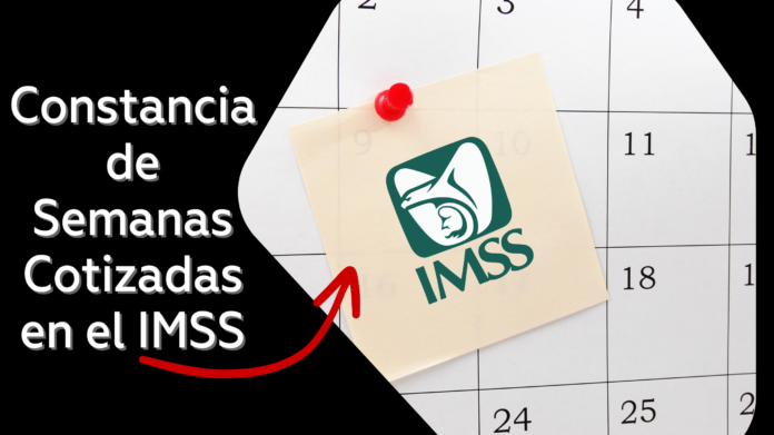 historial laboral del imss