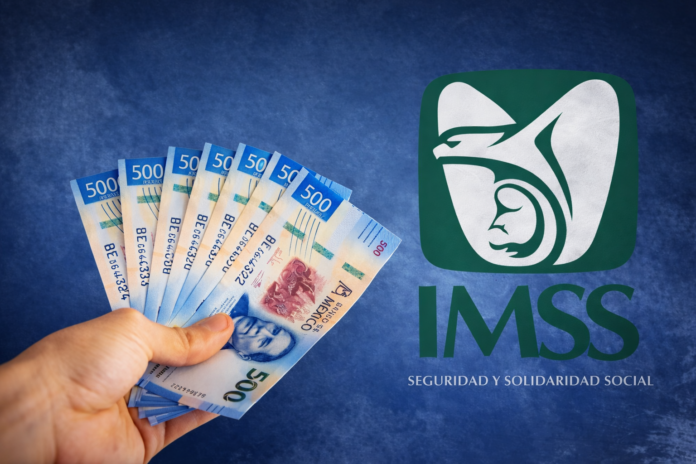 seguro de desempleo IMSS