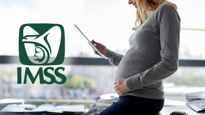 incapacidad por maternidad IMSS 2026