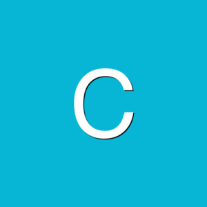 Contadores Asociados QRO