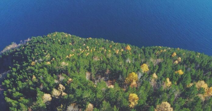 Tarjeta INAPAM 2026 adultos mayores