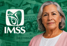 Modalidad 40 IMSS 2026 puede multiplicar tu pensión si la usas bien Modalidad 40 IMSS 2026
