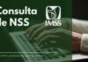 NSS: cómo asignarlo por primera vez sin acudir al IMSS Consultar el NSS del seguro Social