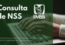 NSS: cómo asignarlo por primera vez sin acudir al IMSS Consultar el NSS del seguro Social