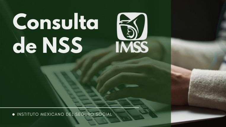 Consultar el NSS del seguro Social