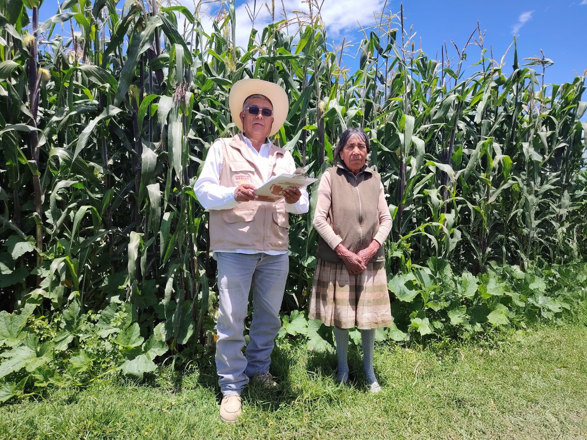 Fertilizantes gratuitos: padrón de beneficiarios por estado