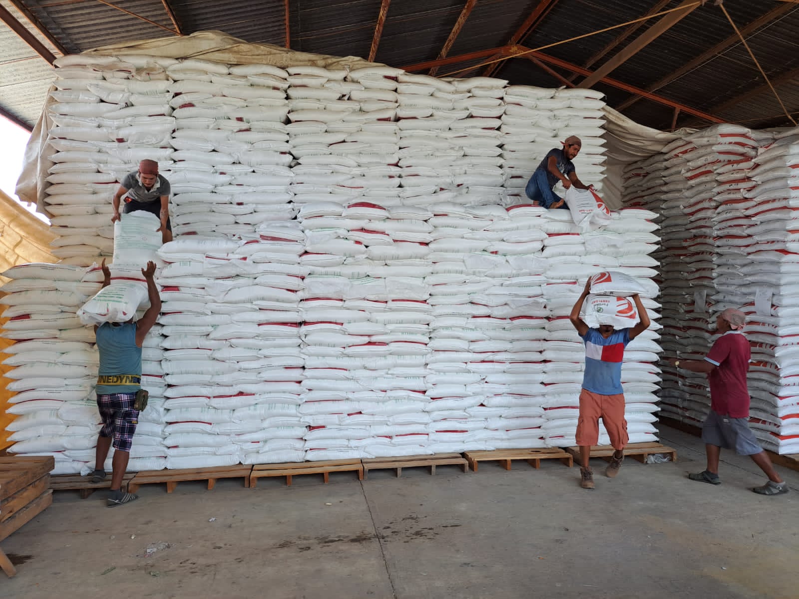 Fertilizantes gratuitos: padrón de beneficiarios por estado
