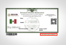 CURP certificada 2026: cómo descargarla gratis en PDF CURP certificada