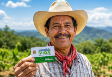 Programa Sembrando Vida 2026 se puede solicitar con estos requisitos Programa Sembrando Vida 2026