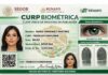 CURP biométrica 2026: qué es, para qué sirve y cómo tramitarla CURP biométrica 2026- qué es, para qué sirve y cómo tramitarla