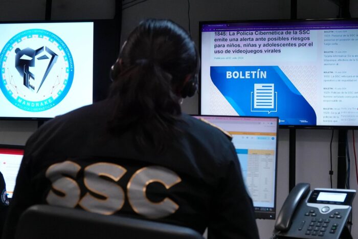 Seguridad cibernética