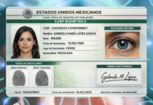 CURP sigue siendo indispensable para realizar estos trámites en México CURP