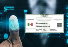 CURP con errores puede afectar trámites oficiales en México CURP