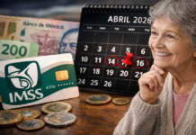 Seguro voluntario IMSS 2026 permite asegurar a tus papás con pago anual seguro voluntario IMSS 2026