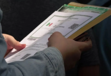 CURP duplicada puede bloquear trámites importantes en México CURP duplicada